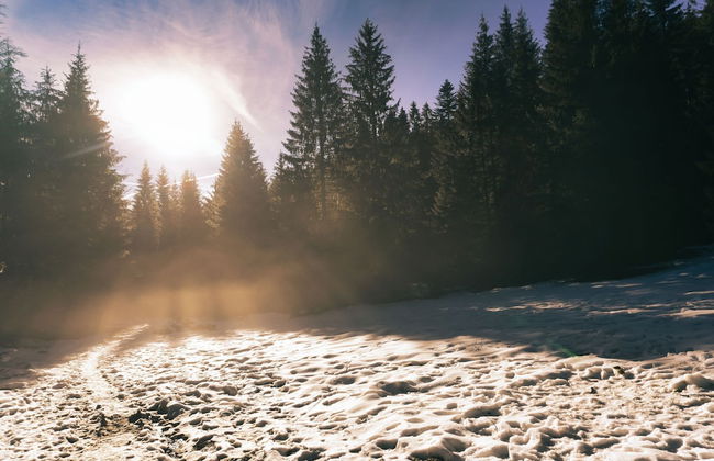 Snow White in Bardonecchia - Foto 23