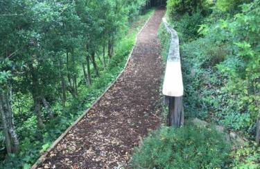 The Nuthatch Cabin - Asheville Tiny Home near the Smokie Mountains! - Foto 17