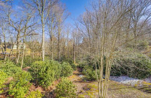 Near Hiking Blue Ridge Mtn Home on Private Acre - Foto 25