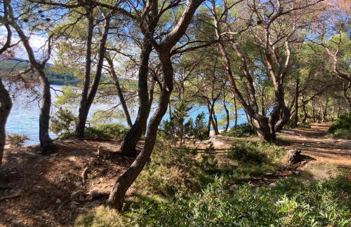 Il Melograno Vrbanj Hvar - Foto 58