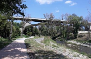 The Flowers' House - Photo 45