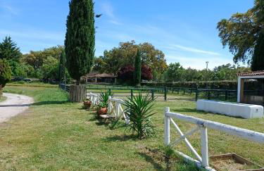 Casa da Vinha - Foto 67