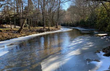 River Run Cottage Modern 2BR Waterfront Retreat in Linville Land Harbor - Foto 56