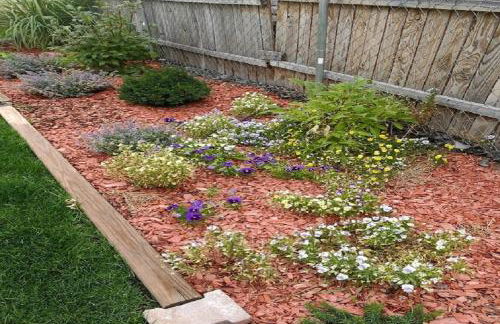 Rancher's Capitol Lodge - Foto 14