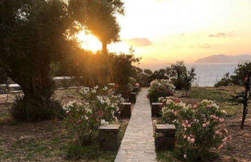 Loutra Olive Gardens Stone House #1 - Foto 16