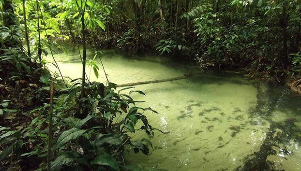 Naturaleza de Tapajós