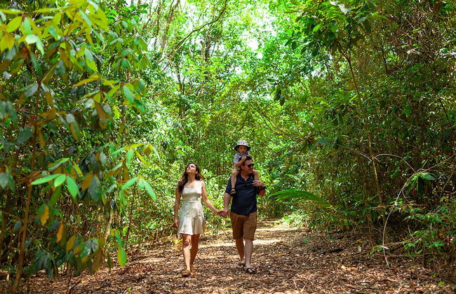 The Canopy Rainforest Treehouses and Wildlife Sanctuary - Foto 13