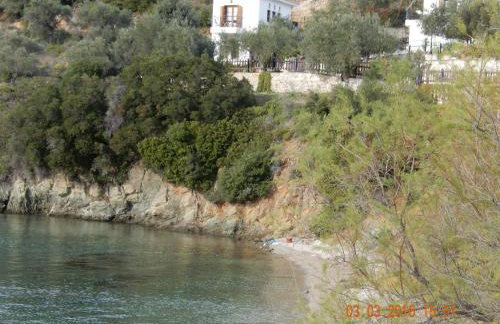 Argo - Mythos - Photo 20