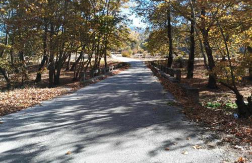 AGAPI'S HOUSE - Foto 12