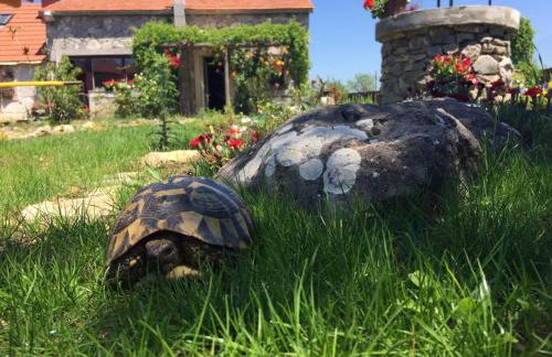 Kuća za odmor Joko i Jeka - Foto 42