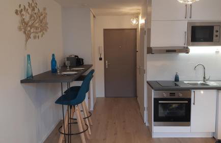 "Monplaisir", parking, canapé-lit neuf confortable, idéal voyages d'affaires et tourisme, proximité commerces, gare, Université Lyon 3 , Tram T2, T4 et C25 - Photo 21