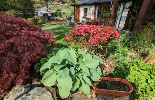 Bryn Elltyd Eco House - Foto 61