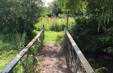 Everglades - Foto 51