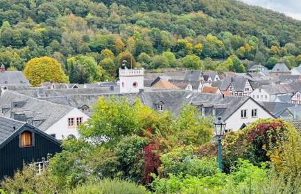 Ferienwohnung Orchidee - Foto 57