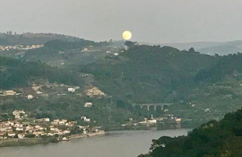 Pedacinho de Mundo Douro - Foto 41