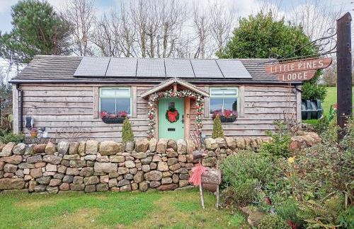 Little Pines Lodge - Foto 33