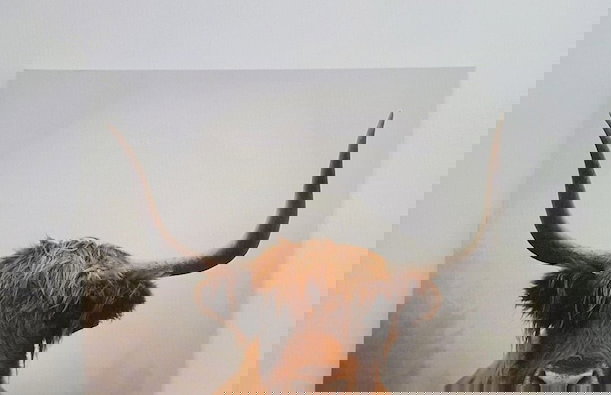 Green Cottage - Foto 43