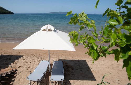 Asterias Studios Finikounda - Photo 24