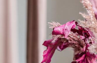 Ruppertsberg - Urlaub in der Weinbergkoje - Foto 22