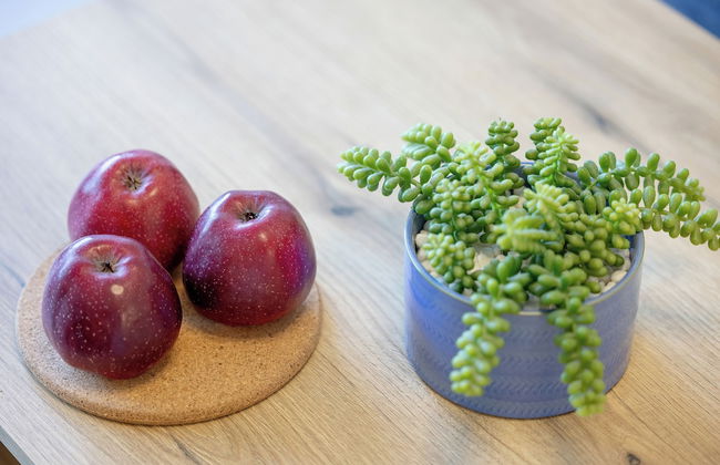 Elegant Apartment in Darlowo by Renters - Photo 20