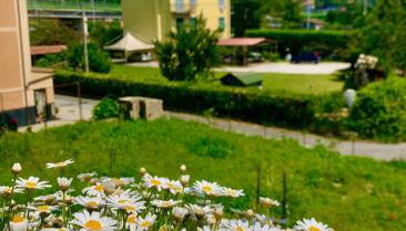 Ca' de natta - Foto 3, Garden