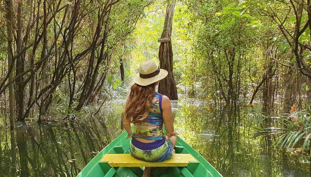 Alter do Chão Full Tour - Photo 2