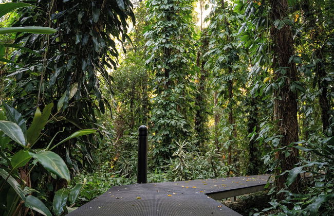 Invercauld House - Foto 28