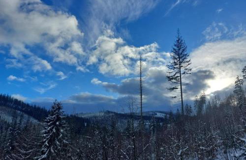 Apartamenty u Joli - Foto 22