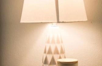 Walk to the Silos! 3 Bed 1960's Bungalow near Baylor - Foto 58