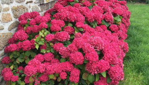 Villa Cotentin - Foto 4