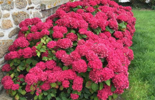 Villa Cotentin - Foto 4