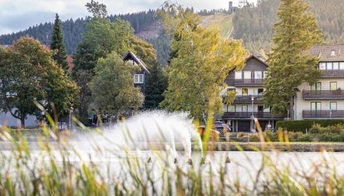 Hexengluck Hahnenklee - Foto 5, Other