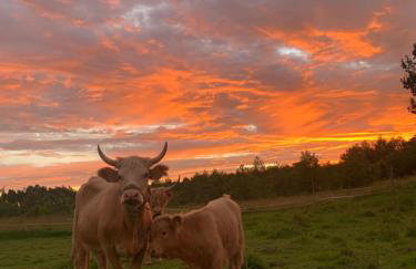 Rancho „Czajone na pigwowcu” - Foto 38