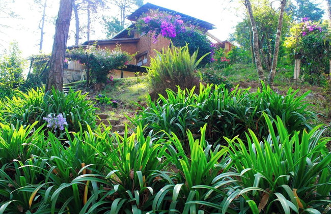 Country House In The Woods With River - Foto 26