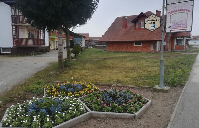 Tourist farm and beekeeping Salamun - Foto 25