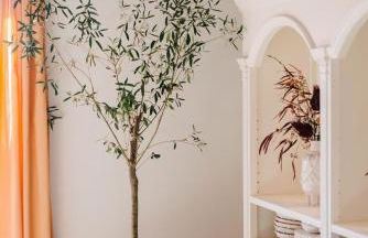 Soul Farm Mas els Igols - Foto 66