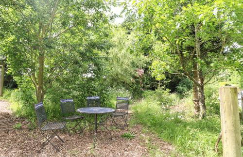 Pipistrelle - Foto 26