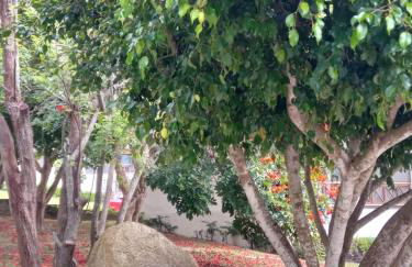 Flat studio monte castelo gravatá PE - Foto 17