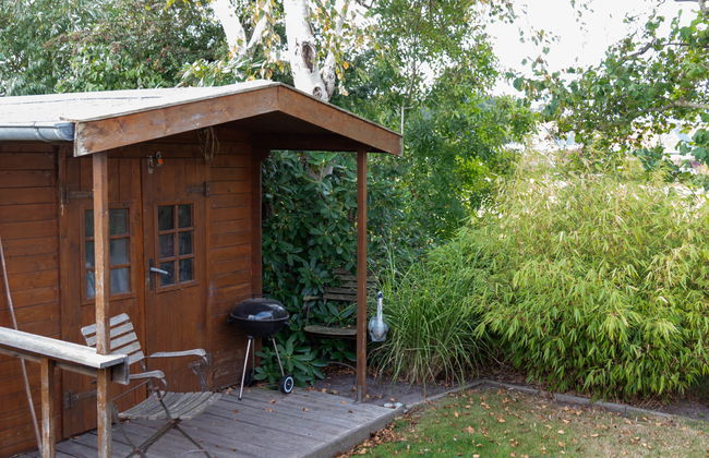 Kegelrobbe - Foto 40