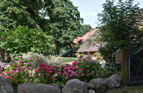 Lüttje Paradies - Foto 3