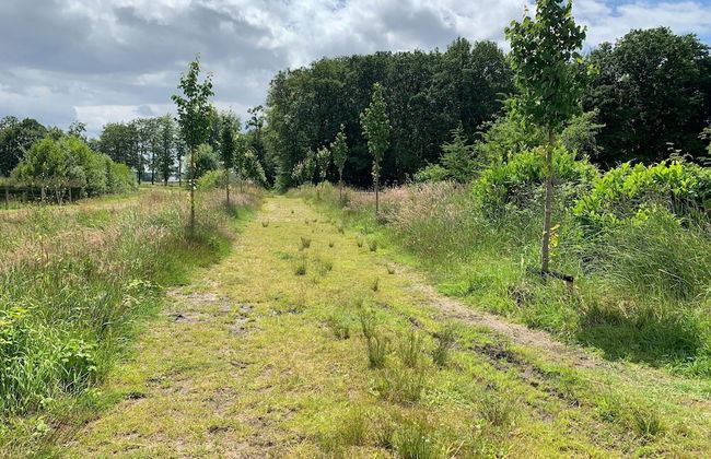 Holiday Home Montferland Near Huis Bergh Castle - Photo 38