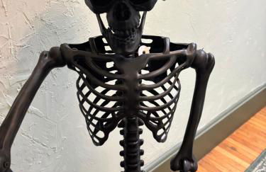 It’s Showtime-Book Lally’s House! Steps to Common! - Foto 2