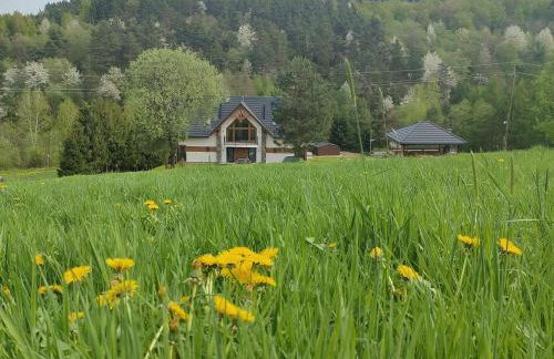 Kraina Rysia - Photo 22