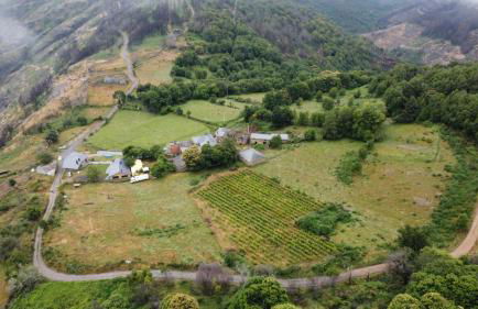 O Busto Aldea Rural - Foto 2