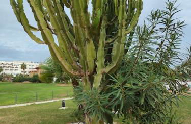 Spacious and luxurious apartment - Foto 33