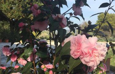 Casa Sant Angelo - Photo 64