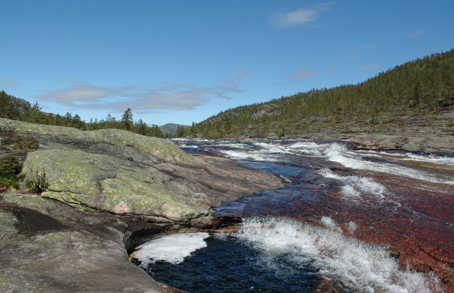 Fjellheimen - Foto 23