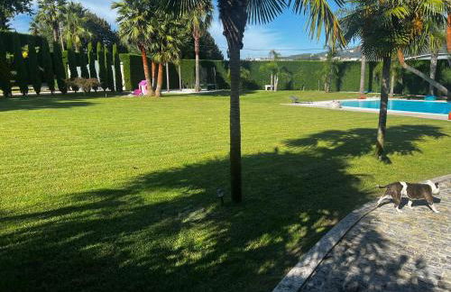 Quinta Das Palmeiras - Photo 31