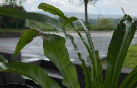 Helle 1-Zimmer Souterrainwohnung in ruhiger Lage! - Foto 10