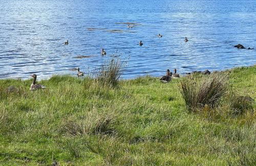 Our Salad Days Lochgilphead - Foto 20